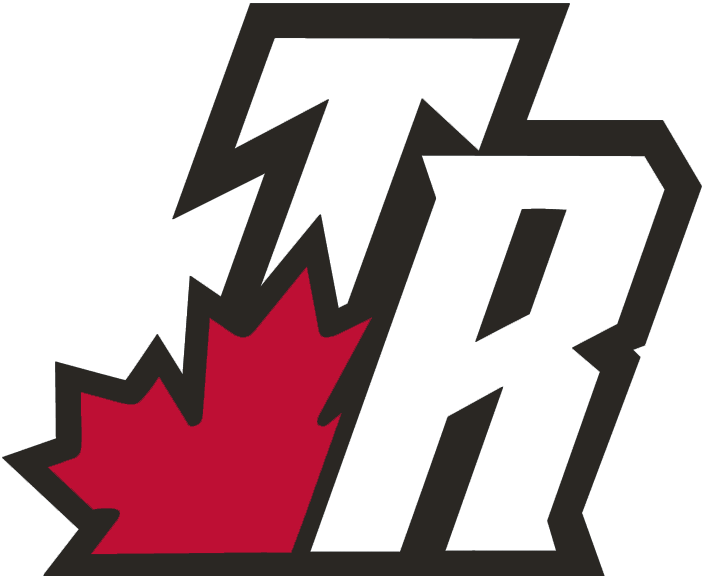 Toronto Raptors 2003-2008 Alternate Logo iron on heat transfer